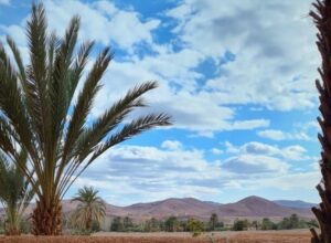 Maroko blogi, Ouarzazate